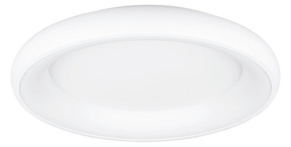 STROPNÍ LED SVÍTIDLO, 62/10 cm Trio Leuchten - Stropní svítidla