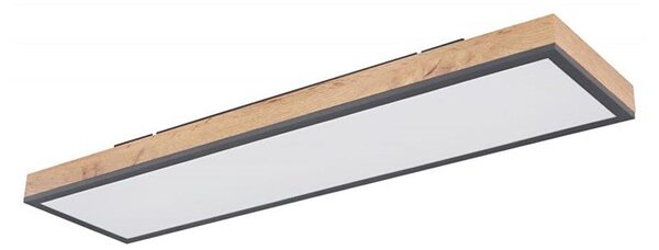 Globo 416080WD4 - LED Stropní svítidlo DORO LED/24W/230V