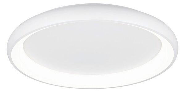 STROPNÍ LED SVÍTIDLO, 75/9,5 cm Trio Leuchten - Stropní svítidla