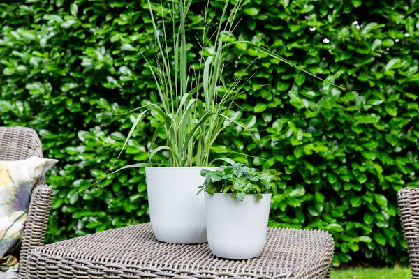 Ter Steege Květináč Palermo white D13 H12