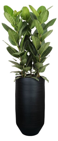 Ter Steege Váza Norell black D27 H50