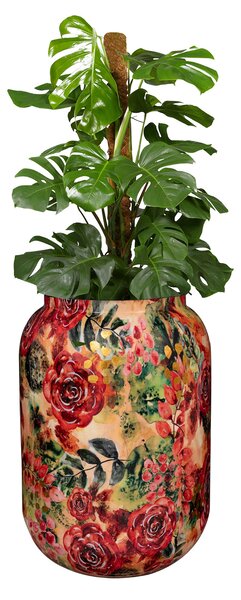 Ter Steege Váza Rose rouge D46 H62