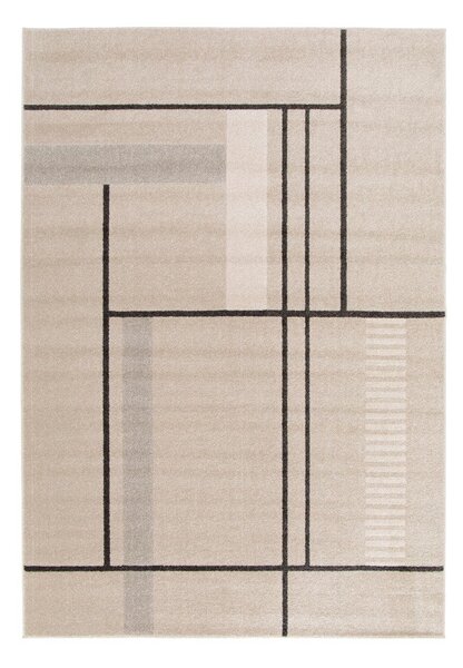 Béžový koberec 120x170 cm Domus – Universal