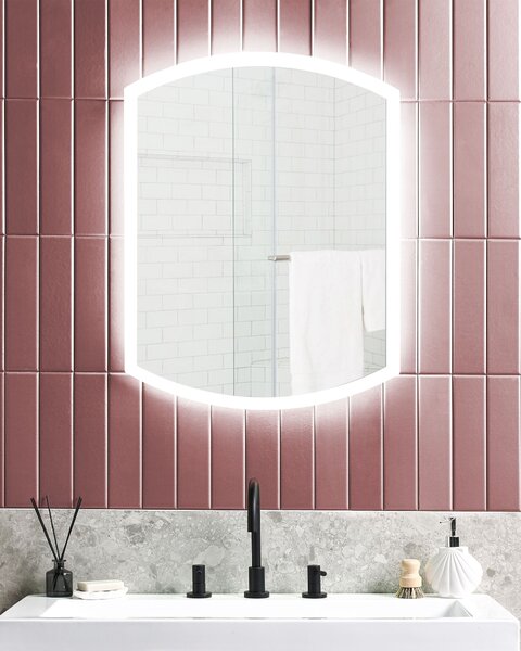 LED koupelnové zrcadlo BEZIERS 60 cm 78 cm Stříbrná