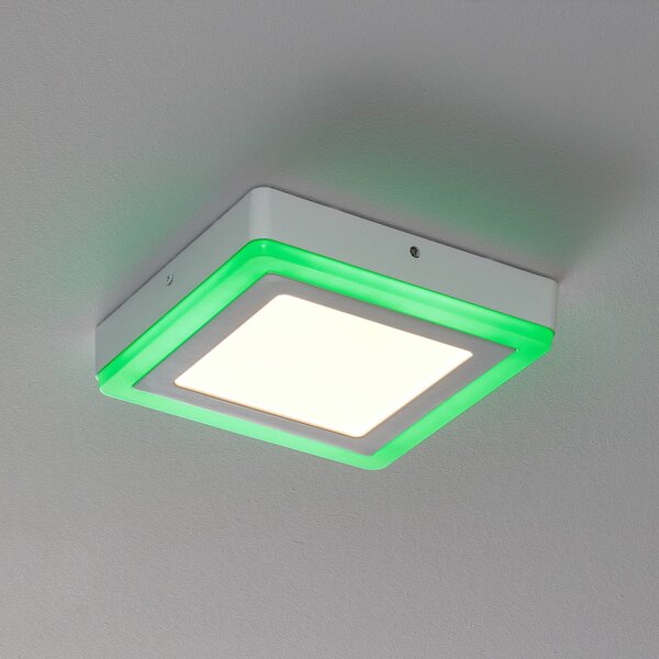 LEDVANCE LED Color+white square stropní 20cm