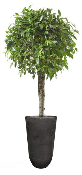 Ter Steege Váza Palermo marble grey D38 H65