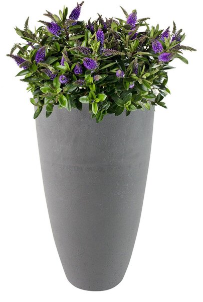 Ter Steege Váza Nova concrete grey D29 H50