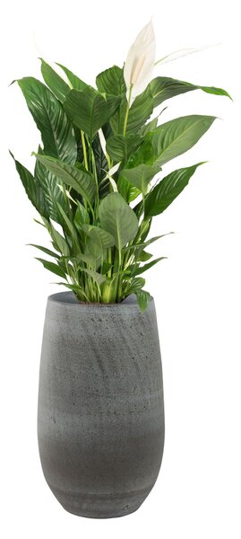 Ter Steege Váza Esra mystic grey D18 H30
