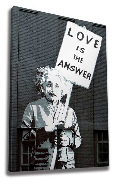 Wallity Obraz na plátně Einstein WY32 50x70 cm