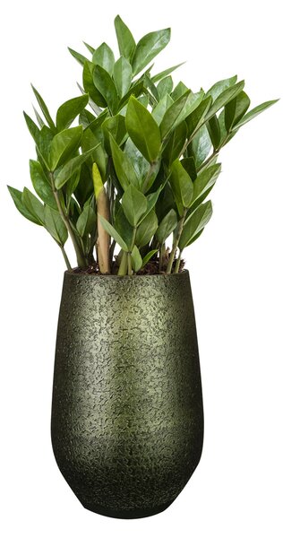 Ter Steege Váza Noor velvet green D23 H36