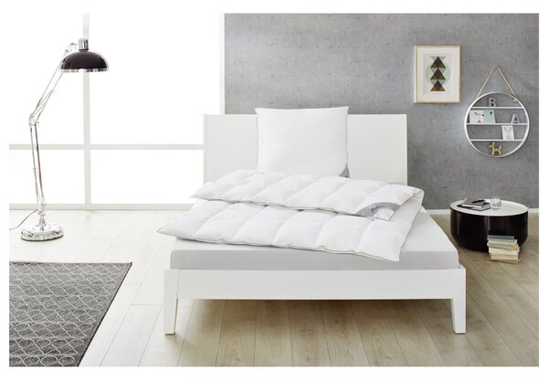 Balette Kazetová přikrývka z prachového peří Premium Selection (střední, 140 x 200 cm) (100397913002)
