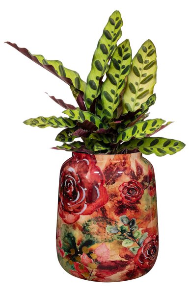 Ter Steege Váza Rose rouge D21 H24