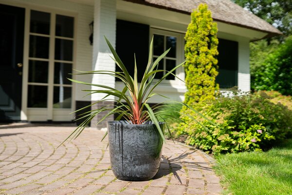 Ter Steege Květináč Palermo marble grey D30 H28