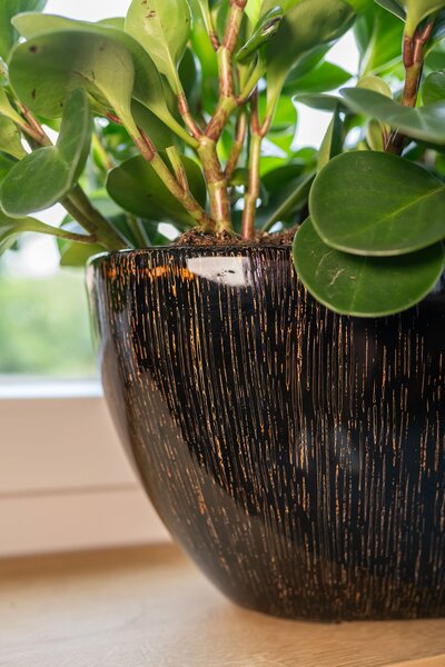 Ter Steege Váza široká Niene black gold D59x26 H35
