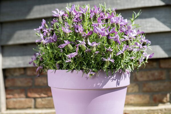 Ter Steege Květináč Nayla lavender D26 H23