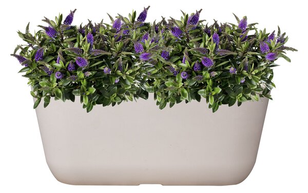 Ter Steege Truhlík Palermo white D35x16 H15