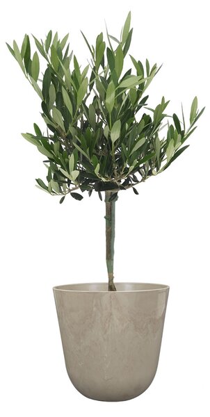 Ter Steege Květináč Palermo marble clay D23 H22