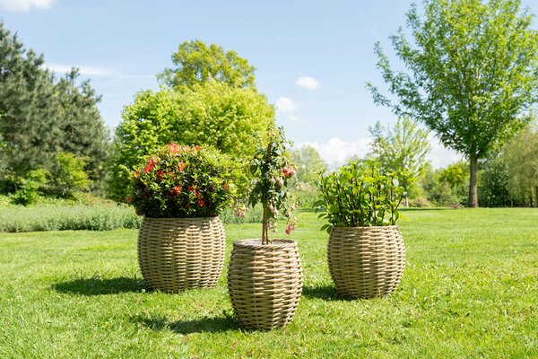 Ter Steege Sada 3 obalů Jet natural D55 H46