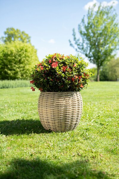 Ter Steege Sada 3 obalů Jet natural D55 H46