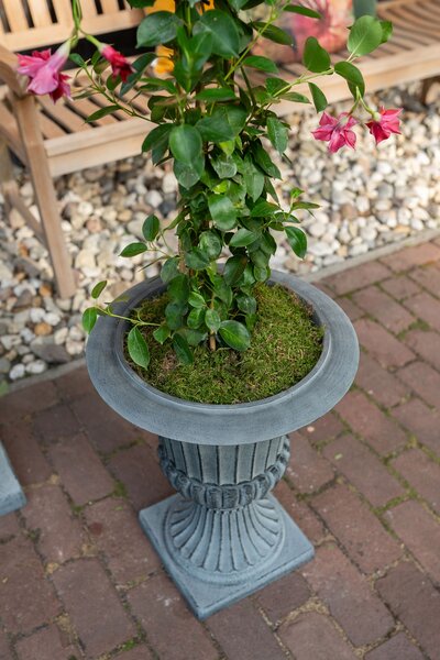 Ter Steege Váza Louvre concrete grey D41 H54