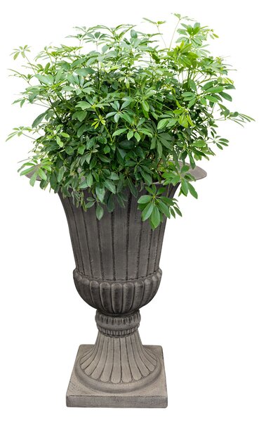 Ter Steege Váza Louvre concrete grey D41 H54