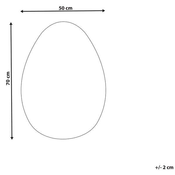 Zrcadlo MONTRESOR 50 cm 70 cm Stříbrná