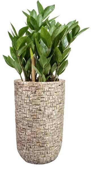 Ter Steege Váza Maxim shiny sand D14 H24