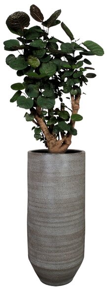 Ter Steege Váza Norell latte brown D31 H70