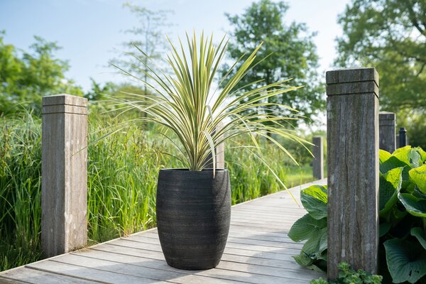 Ter Steege Sada 2 váz Ciana black D55 H68