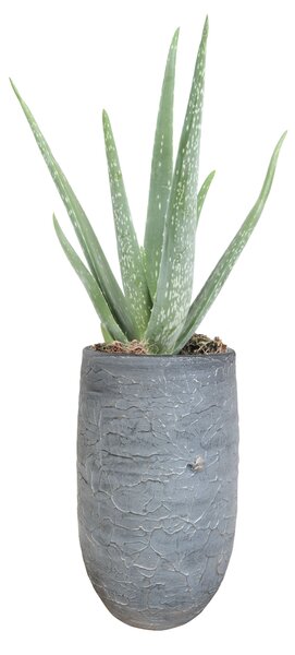 Ter Steege Váza Evi antique silver D18 H30
