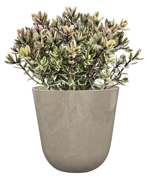 Ter Steege Květináč Palermo marble clay D13 H12