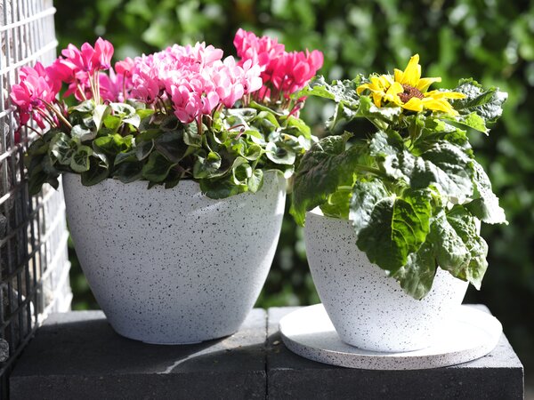 Ter Steege Květináč Nova terrazzowhite D29 H22