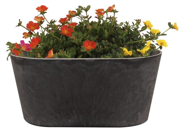 Ter Steege Stacy black D24x14 H11