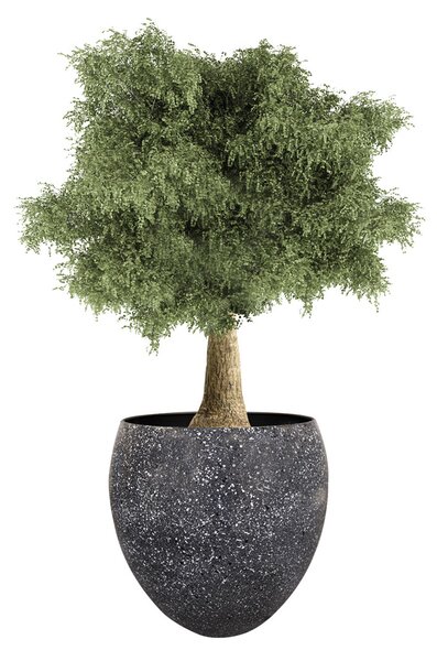Ter Steege Sada 3 květináčů Douwe granite D56 H51