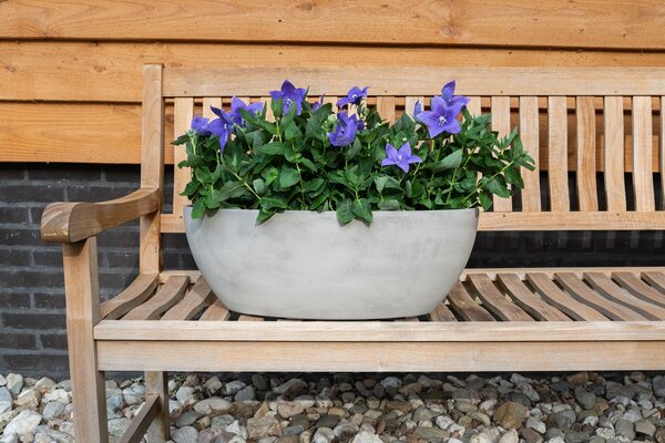 Ter Steege Květináč široký Naomi concrete D55x25 H20