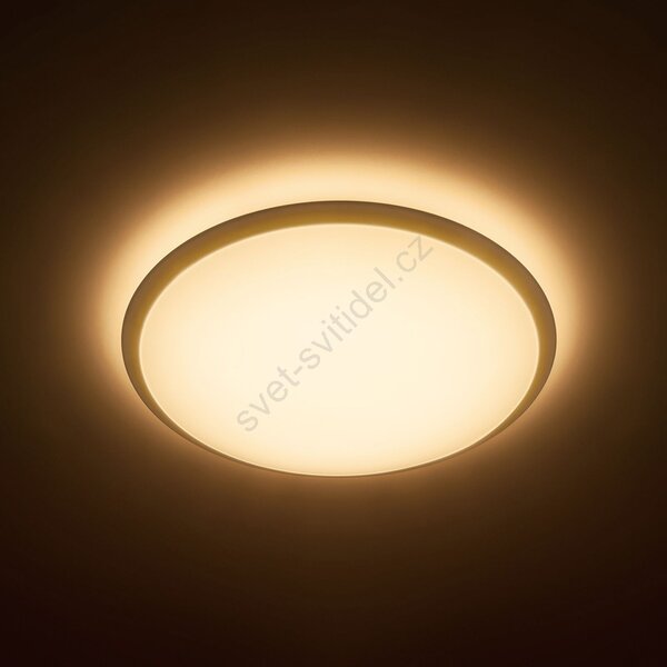 Philips 31822/31/P5 - LED stropní svítidlo WAWEL 1xLED/20W/230V P1956