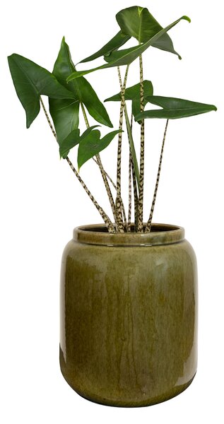 Ter Steege Váza Nine olive green D25 H29