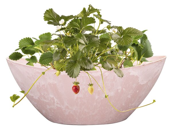 Ter Steege Boat Stacy powder pink D29x13 H12