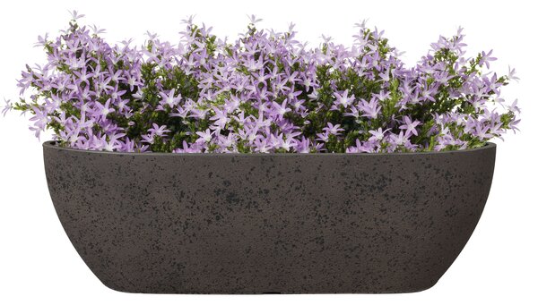 Ter Steege Truhlík Nova stone D55x16 H17