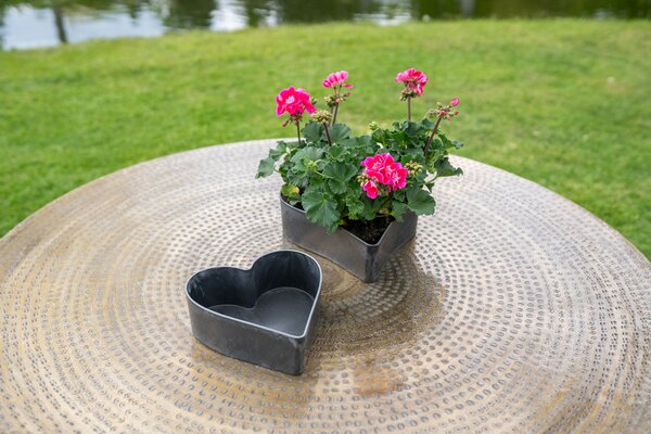 Ter Steege Heart Stacy black D27 H8
