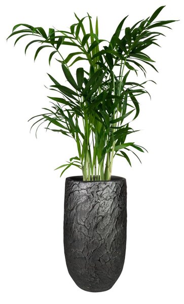Ter Steege Váza Evi midnight black D17 H30