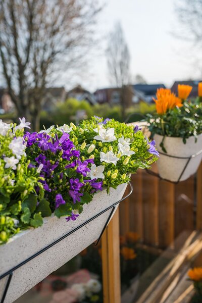 Ter Steege Truhlík Nova terrazzowhite D55x16 H16