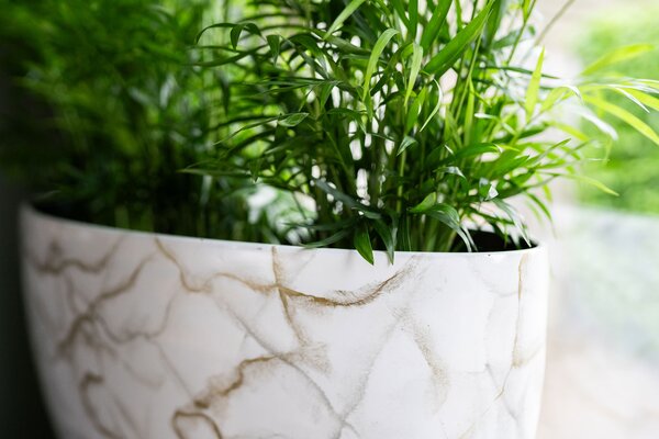 Ter Steege Váza široká Niene marble white D59x26 H35