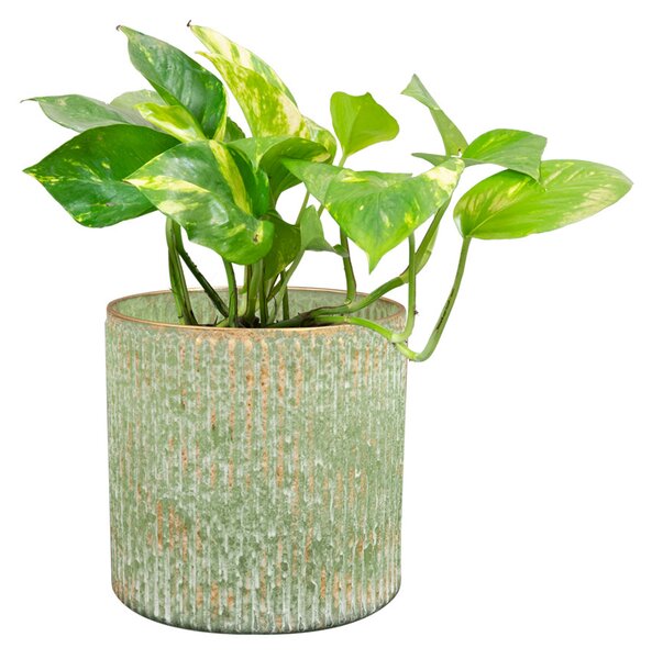 Ter Steege Obal/váza Moa soft jade D13 H13