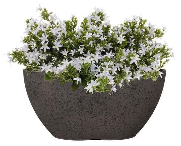 Ter Steege Truhlík Nova stone D36x16 H17