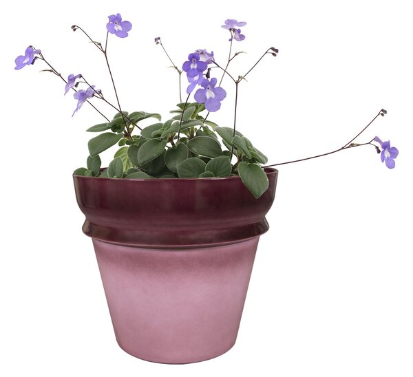 Ter Steege Květináč Ilvy mauve D22 H20