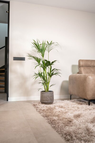 Ter Steege Obal Norell latte brown D18 H16