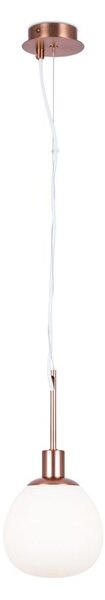 Maytoni MOD221-PL-01-G - Lustr na lanku ERICH 1xE14/40W/230V měděná