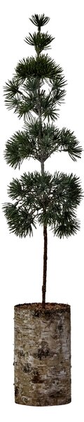 Umělý stromek Pine Green 60 cm