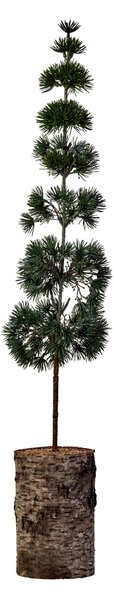 Umělý stromek Pine Green 80 cm